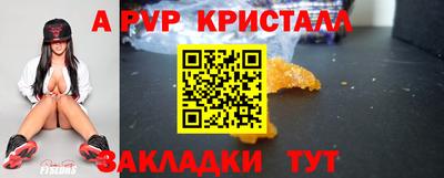 спиды Новозыбков